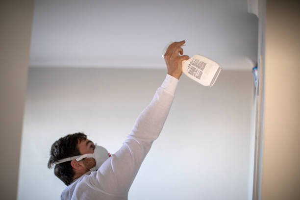 Best Emergency Mold Removal  in Whitehouse, OH