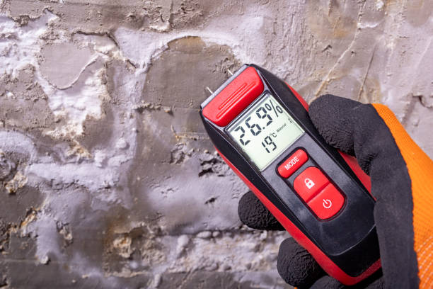 Best Attic Mold Removal  in Whitehouse, OH